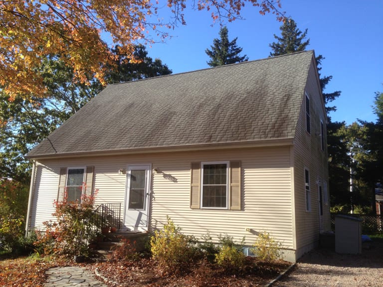 Roof Cleaning Before