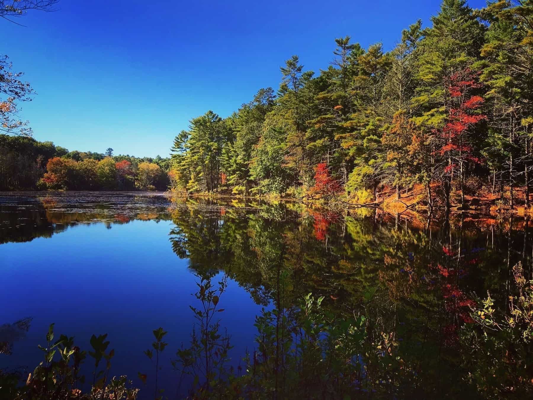 A lake at Fisherville Wildlife Refuge in Exeter Rhode Island