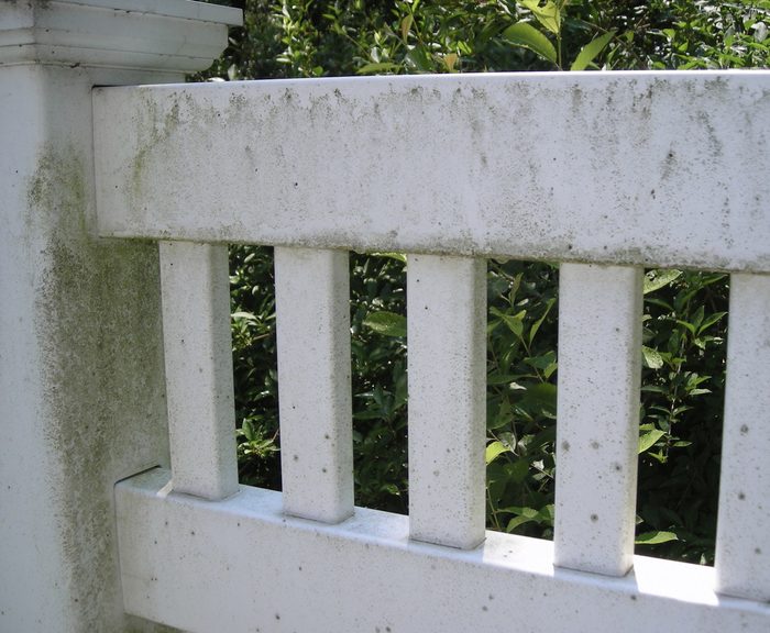 White Vinyl Fence Before Power Washing